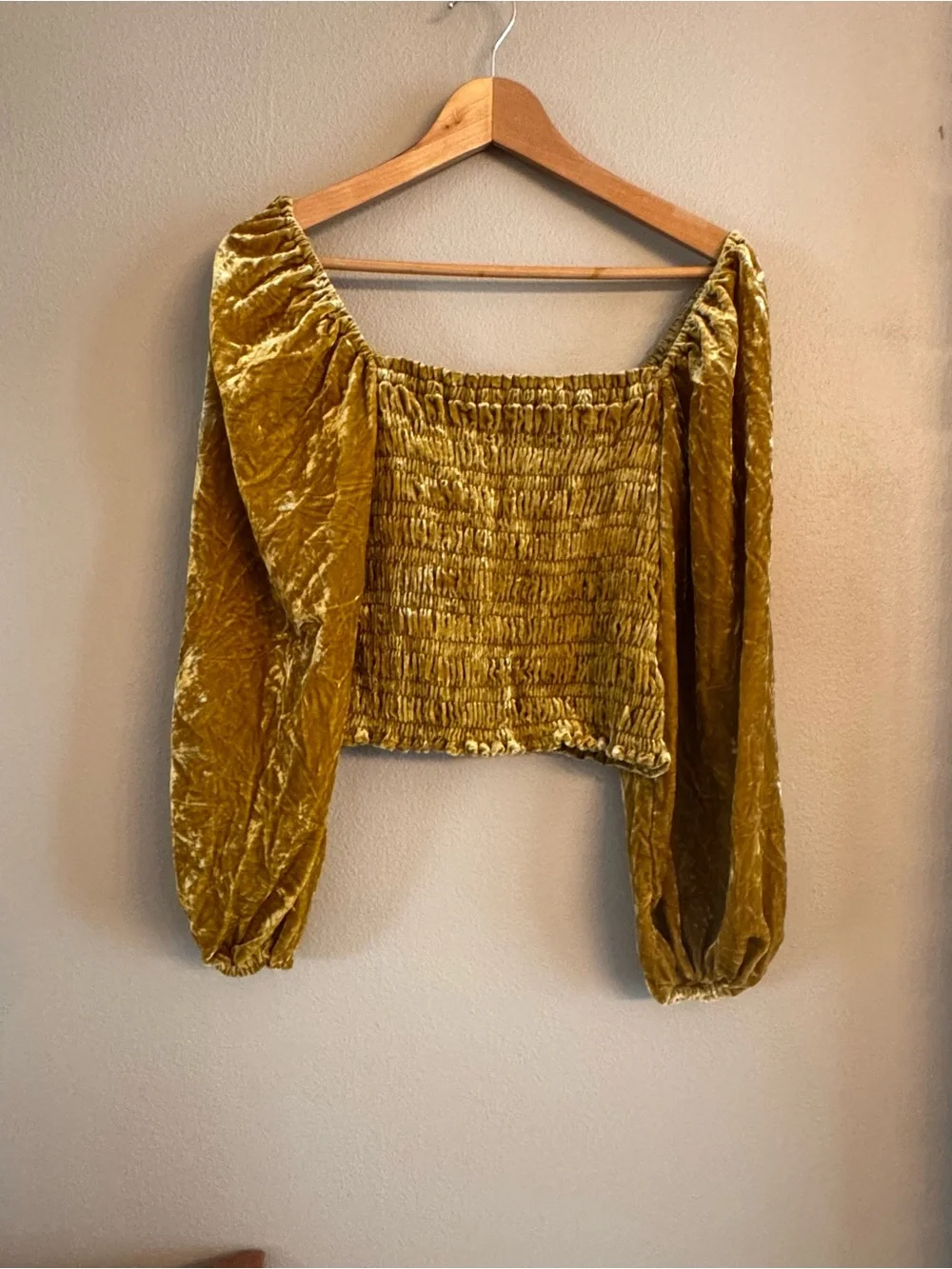 ANTHROPOLOGIE Smocked Velvet Long-Sleeve Crop Top
